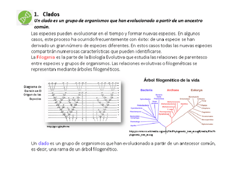 Cladistica.pdf