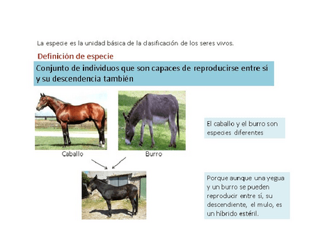 especies-y-poblaciones.pdf