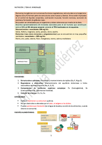 TEMA-9.-MINERALES-AG.pdf
