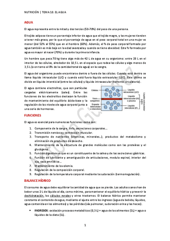 TEMA-10.-EL-AGUA-AG.pdf