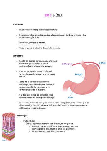 tema-3-ap.digestivo.pdf
