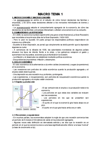 MACRO-TEMA-1.pdf