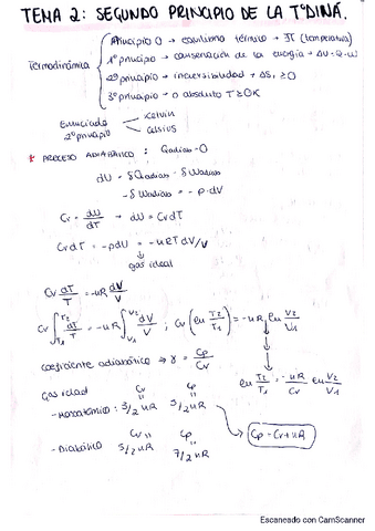 Tema-2-Apuntes-de-clase-Fisica-II.pdf