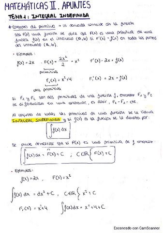 Integrales-indefinidas.pdf