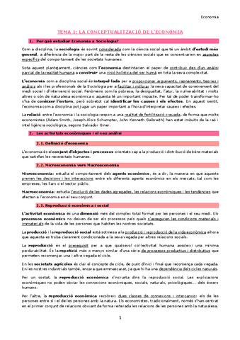 TEMA-1-Conceptualitzacio-de-leconomia.pdf