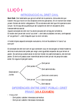 Llico-1.pdf