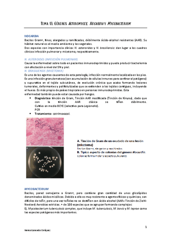 Tema-13-Micro.pdf