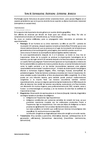 Tema-14-Micro.pdf