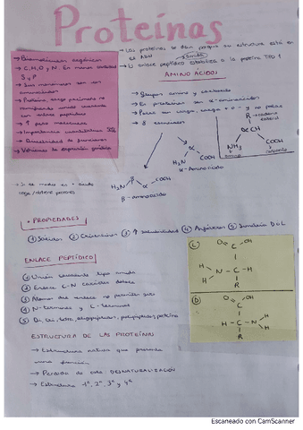 proteinas.pdf