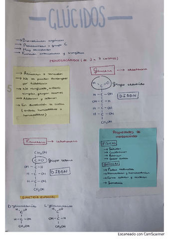 glucidos.pdf