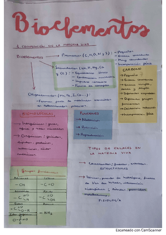 bioelementos.pdf