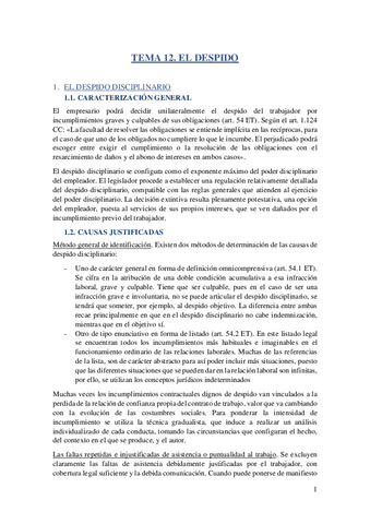 Tema-12.-Despido.pdf