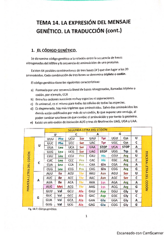 Tema-14-Traduccion.pdf