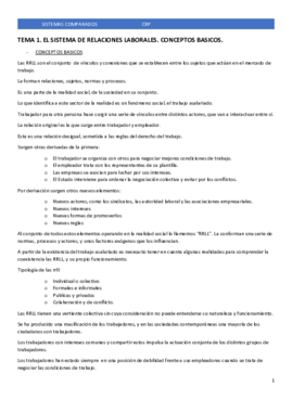 SISTEMAS COMPARADOS TEMAS COMPLETOS.pdf