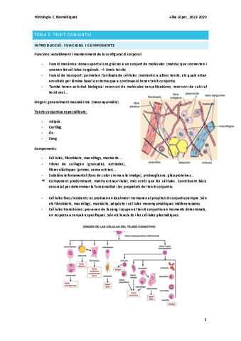 Tema-5-teixit-conjuntiu.pdf