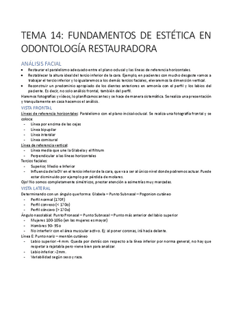 TEMA-14-PTD.pdf