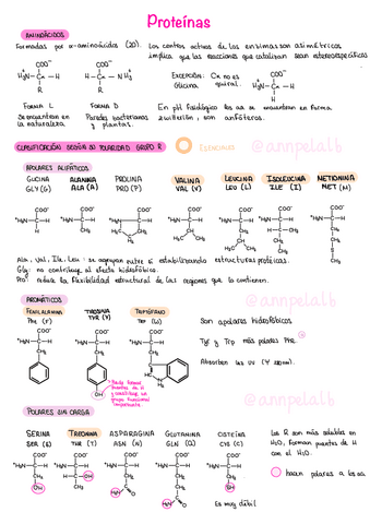 T4-Proteinas.pdf
