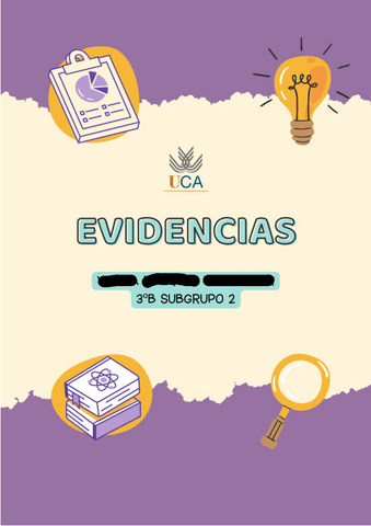 EVIDENCIAS.pdf