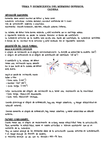 Tema-7.3.-Cadera.pdf