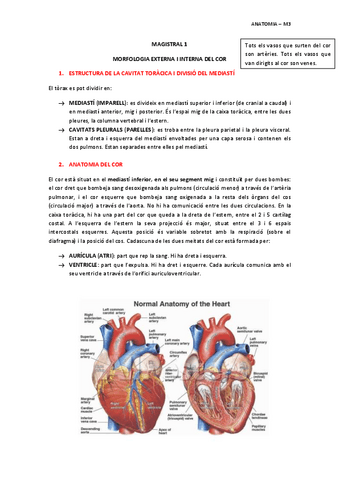 MAGISTRAL-1-ANATOMIA-INTERNA-I-EXTERNA-DEL-COR.pdf