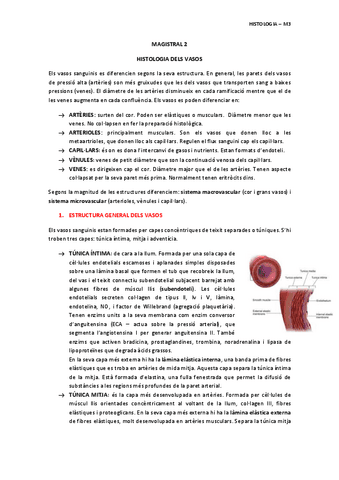 MAGISTRAL-2-HISTOLOGIA-DELS-VASOS.pdf