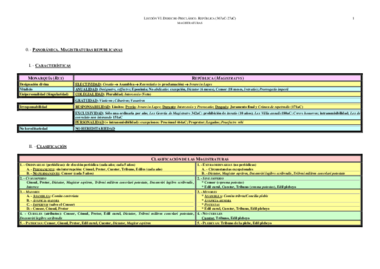 Esquemamagistraturas.pdf