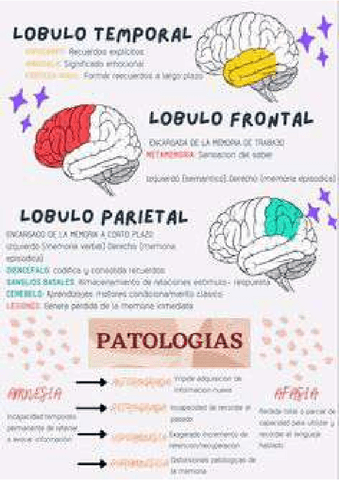 c78440d15b524f530f9710e22de10bbe-1-10.pdf