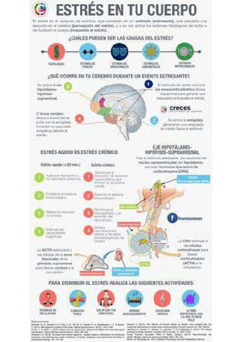 c78440d15b524f530f9710e22de10bbe-1-7.pdf