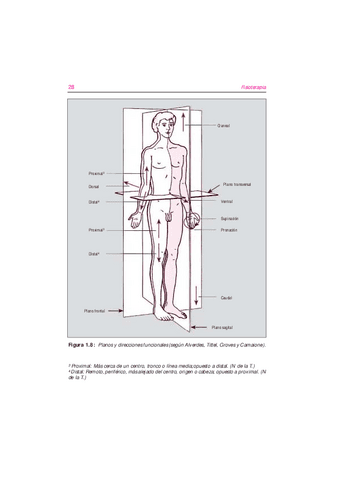fundamentosdelafisioterapia-2.pdf