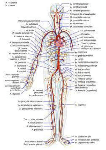 2759430451261cc963b3b04770272b39-2.pdf