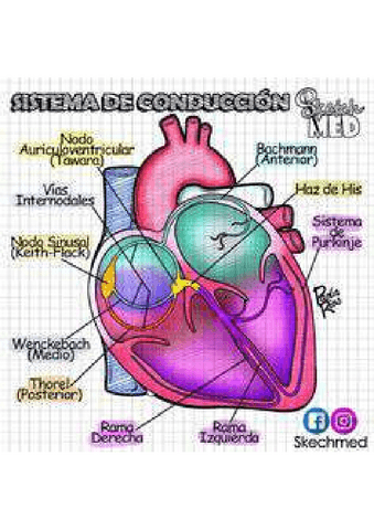 2759430451261cc963b3b04770272b39-3.pdf