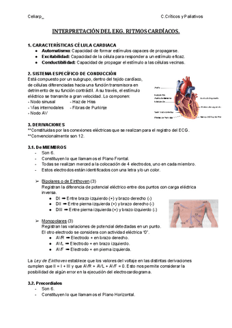 INTERPRETACION-DEL-EKG.pdf