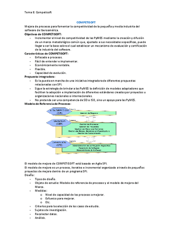 Resumen-Competisoft.pdf