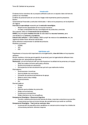 Resumen-T10-Calidad.pdf