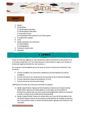APUNTES-TEMA-3.pdf