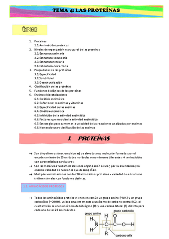 APUNTES-TEMA-4.pdf