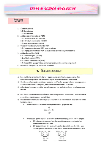 APUNTES-TEMA-5.pdf