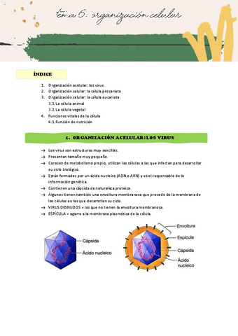 APUNTES-TEMA-6.pdf
