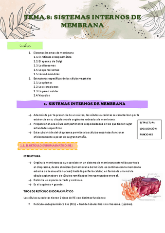 APUNTES-TEMA-8.pdf
