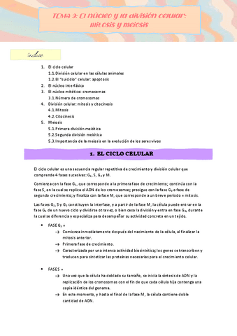 APUNTES-TEMA-9.pdf