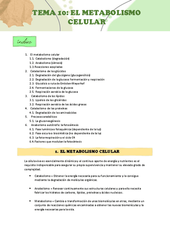 APUNTES-TEMA-10.pdf