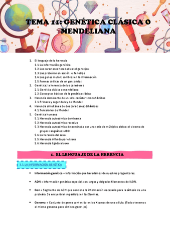 APUNTES-TEMA-11.pdf