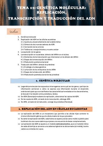 APUNTES-TEMA-12.pdf