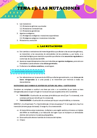 APUNTES-TEMA-13.pdf