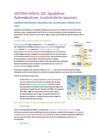 SISTEMA-RENAL-III.pdf