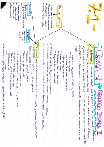 Moderados-y-Progresistas.pdf