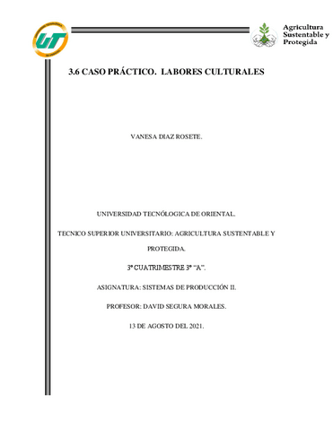 LABORES-CULTURALES.pdf