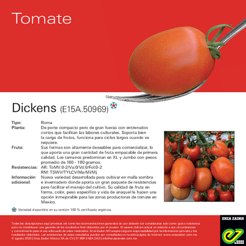 Leaflet-Dickens-2020.pdf