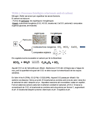 TEMA-1.3-Processos-fisiologics-relacionats-amb-el-carboni.pdf