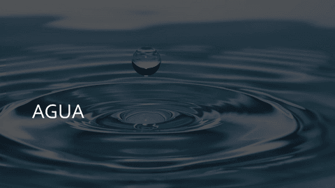 Agua-como-elemento-en-el-cuerpo-humano.pdf